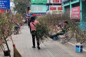 Khẩn trương làm rõ việc tự xưng công an để thu phí "lốt" bán cây cảnh tết