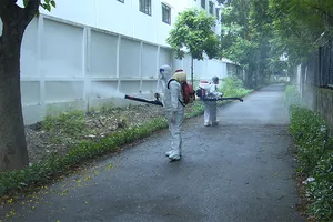 Bộ Y tế khuyến cáo khẩn biện pháp giám sát, phòng chống bệnh Chikungunya