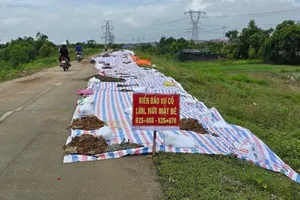 Một tuyến đê trọng yếu của Hà Nội bị sụt lún nghiêm trọng