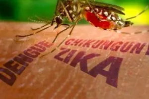 Bộ Y tế bác bỏ thông tin Việt Nam có ca mắc bệnh Chikungunya 