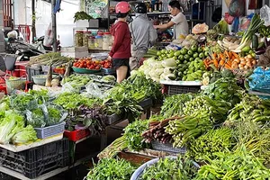 Xử nghiêm việc “phù phép” rau không rõ nguồn gốc thành rau sạch để đưa vào trường học