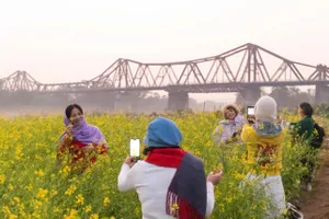 Ngỡ ngàng với bến hoa rực rỡ bên cây cầu hơn 100 năm tuổi ở Hà Nội