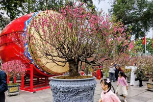 Điểm du xuân “hot” Tết Bính Ngọ: Vườn đào quý rực rỡ bên tượng đài vua Lý Thái Tổ