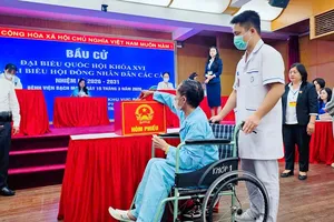 Những lá phiếu đến từ giường bệnh