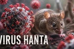 Bộ Y tế khuyến cáo phòng bệnh do virus Hanta lây từ chuột sang người