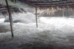 Dòng lũ cuồn cuộn ập về nhấn chìm khu du lịch suối Voi. Ảnh: Trần Anh Khoa.