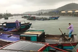 Hàng ngàn tàu thuyền, hàng chục ngàn lao động trên biển có kịp vào bờ “chạy” bão?