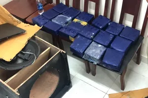 19 kg ma túy đá ngụy trang trong loa thùng nghe nhạc.