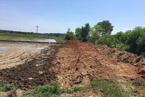 Máy móc của doanh nghiệp Cường Hương tự ý san lấp phần ruộng lúa mới gieo sạ của gia đình ông Trần Văn Trà. 