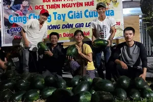 Nhóm Bùi Kim Phụng và ACE thiện nguyện Huế "giải cứu" dưa hấu giúp bà con nông dân ở Gia Lai