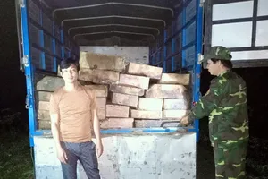 Tài xế Lê Phong điều khiển ô tô chở gỗ trái phép ​