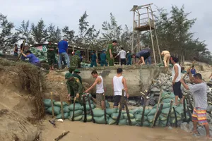 Nỗ lực khắc phục sạt lở do xâm thực gây ra tại khu vực bờ biển xã Phong Hải, huyện Phong Điền, tỉnh Thừa Thiên - Huế  