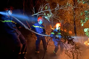 Nỗ lực chữa cháy rừng tại thị xã Hương Thủy.