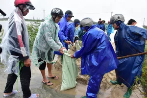 Công an Thừa Thiên - Huế hỗ trợ người dân khắc phục hậu quả lốc xoáy 