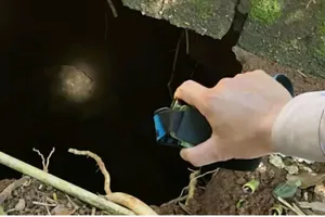 Hố sụt lớn vừa phát hiện trong vườn ông Trịnh Thái Nhật