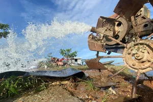 Nỗ lực tiêu úng lúa Hè thu vừa xuống giống ngập úng 