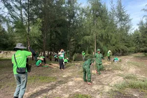 Hội Yêu rác Huế phối hợp với cán bộ, chiến sĩ Trạm Biên phòng biển Thuận An trồng hàng trăm cây phi lao chắn gió ven biển TP Huế