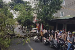 Người tham gia giao thông thót tim khi chứng kiến vụ việc