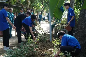Trung ương Đoàn đồng loạt ra quân Ngày Chủ nhật Xanh 
