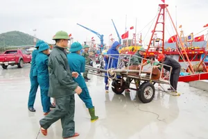 Cán bộ, chiến sĩ, bộ đội biên phòng, dân quân tự vệ Bộ CHQS tỉnh Nghệ An hướng dẫn và giúp ngư dân neo đậu tàu thuyền