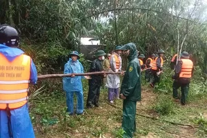 TP Huế: Nỗ lực ngăn chặn sạt lở bờ sông Bù Lu uy hiếp khu dân cư