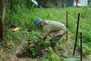 Hố sụt lún hình tròn, rộng hơn 1m, sâu hàm ếch khoảng 3m trong vườn nhà ông Nguyễn Văn Liên, ở thôn Mỹ Tường, xã Cam Lộ, tỉnh Quảng Trị
