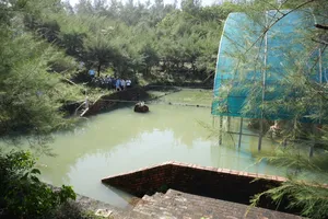 Di tích Tháp Chăm Phú Diên bị ngâm nhiều ngày trong nước lũ