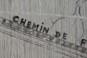 Phát hiện bức họa cổ dạng bản đồ chứa đa ngữ ở Kinh thành Huế