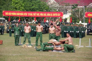 Bộ đội luyện khí công, phô diễn võ thuật 