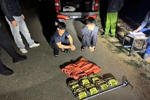 Bắt giữ hai đối tượng cùng tang vật