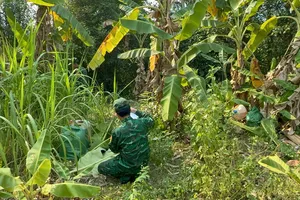 Đồn Biên phòng cửa khẩu quốc tế Lao Bảo phát hiện và thu giữ 70 can chất lỏng màu vàng, nghi xăng RON 95 tại khu vực vườn chuối ở biên giới Việt Nam - Lào