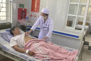 Ăn ve sầu khiến 9 người dân ở Quảng Trị nhập viện