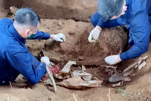 Cán bộ, nhân viên Đội 192 cẩn trọng tìm kiếm hài cốt và các di vật của liệt sĩ