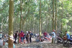 Bắt thêm 3 đối tượng chích điện, cắt tai con nợ