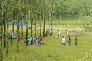 Khởi tố kẻ ném xác chết vào vườn cao su, vu oan cho hàng xóm