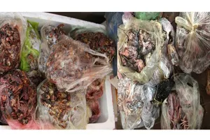 Cơ quan chức năng đang lập biên bản vi phạm về An toàn vệ sinh thực phẩm đối với chủ cơ sở