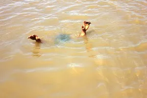 Tử vong dươi hồ nước (Ảnh minh họa) 