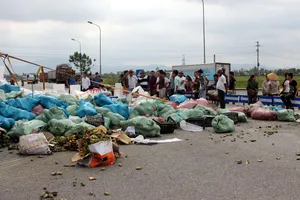 Số trái cây trên xe container bị đổ tràn xuống quốc lộ