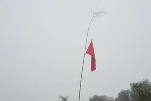 Cây nêu ngày tết (Ảnh minh hoa họa)