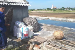Muối làm ra khó tiêu thụ, ông Lê Doãn Sơn (62 tuổi, ở xã Hộ Độ) phải đóng muối vào các bao bì với hy vọng có thương lái đến mua