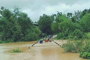 Người dân ở huyện Hương Khê, Hà Tĩnh đưa gia súc đi tránh lũ