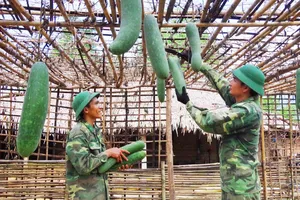 Thu hoạch sản phẩm sau thành quả chăm sóc