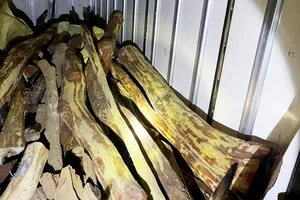 Lực lượng Cảnh sát giao thông tiến hành kiểm tra trên xe ô tô