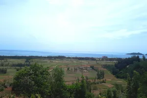 Nhiều diện tích rừng ở ven biển huyện Lộc Hà, tỉnh Hà Tĩnh đã góp phần tạo lá chắn xanh bảo vệ cuộc sống người dân. Ảnh: DƯƠNG QUANG