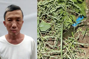 Đối tượng Bùi Quang Lý và hung khí bị vứt bỏ gần hiện trường. Ảnh: VKSND tỉnh Hà Tĩnh