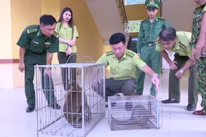 Bàn giao cá thể khỉ mốc và tê tê