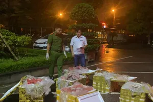 Lực lượng chức năng kiểm đếm số nội tạng chứa trong các thùng xốp. Ảnh: Công an Hà Tĩnh cung cấp