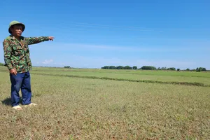 Ông Nguyễn Đình Hoàn (trưởng thôn Sơn Trung, xã Cẩm Thịnh, huyện Cẩm Xuyên) tiếc nuối bên diện tích đất ruộng bỏ hoang 