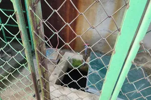 Khu vực hiện trường xảy ra sự việc 