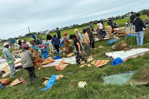 Người dân giúp đỡ tài xế xe tải thu gom, bốc xếp cá sau vụ tai nạn giao thông 